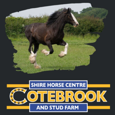 Cotebrook Shire Horse  - Heavy Blend™ Adult Hooded Sweatshirt Design